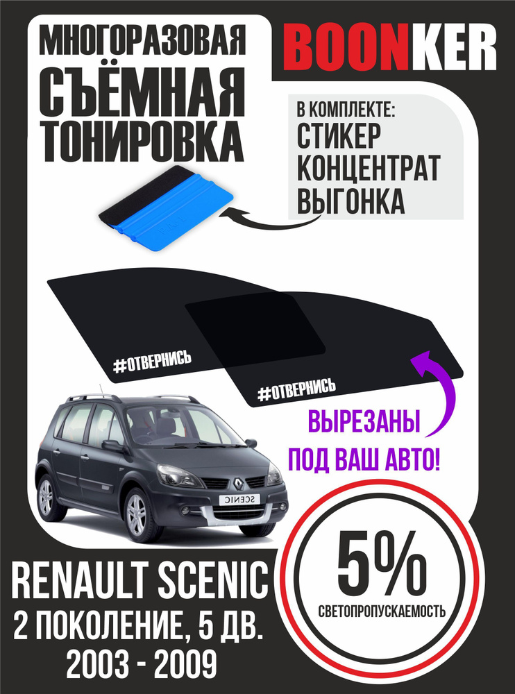 Съемная тонировка Renault Scenic Рено Сценик #1