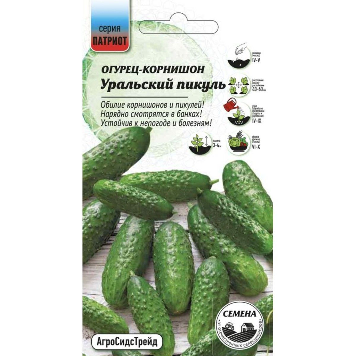 ОгурецУральскийпикуль