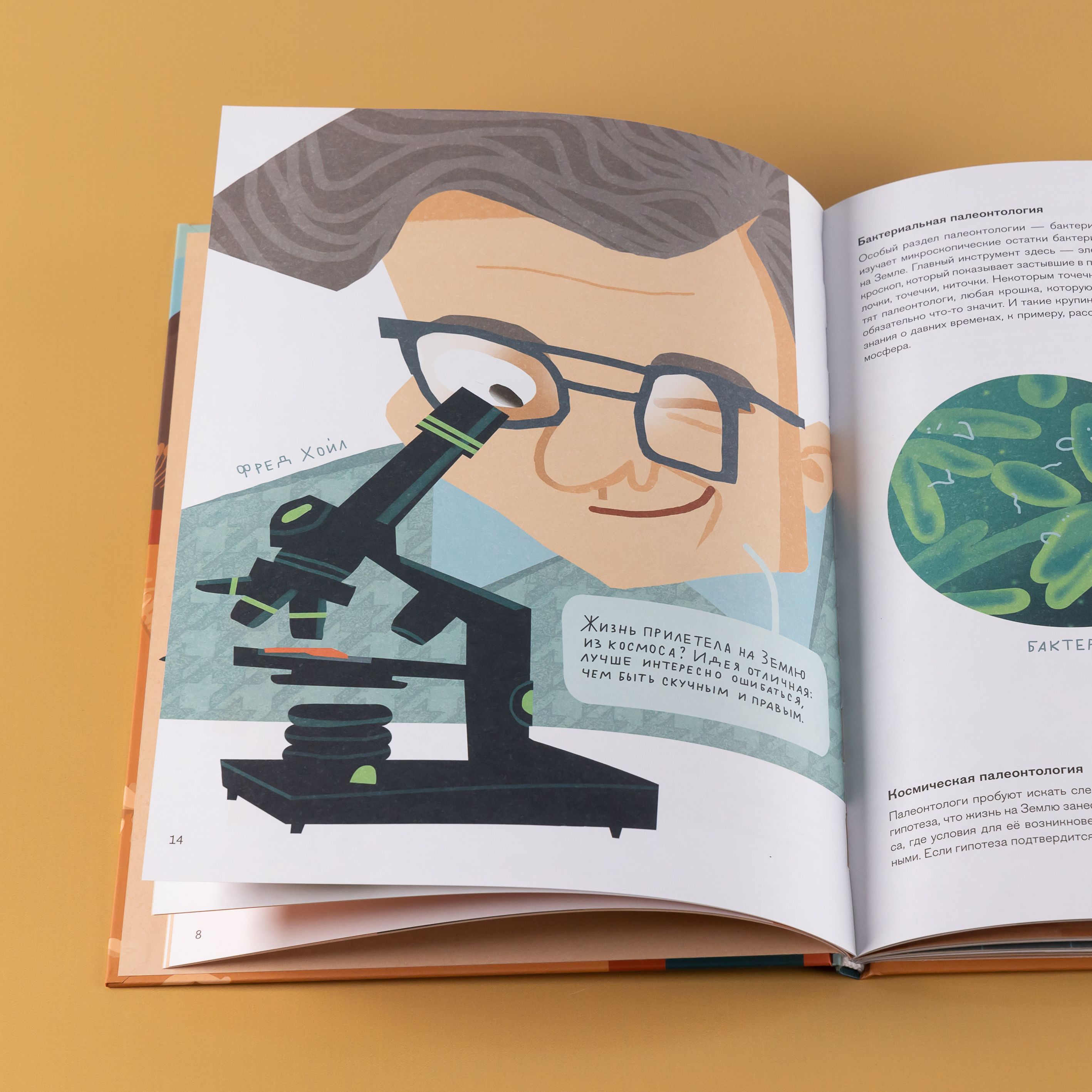 Профессия 一 палеонтолог. От камня до динозавра | The Profession of Paleontologist: From Stone to Dinosaur - Ozon image 6