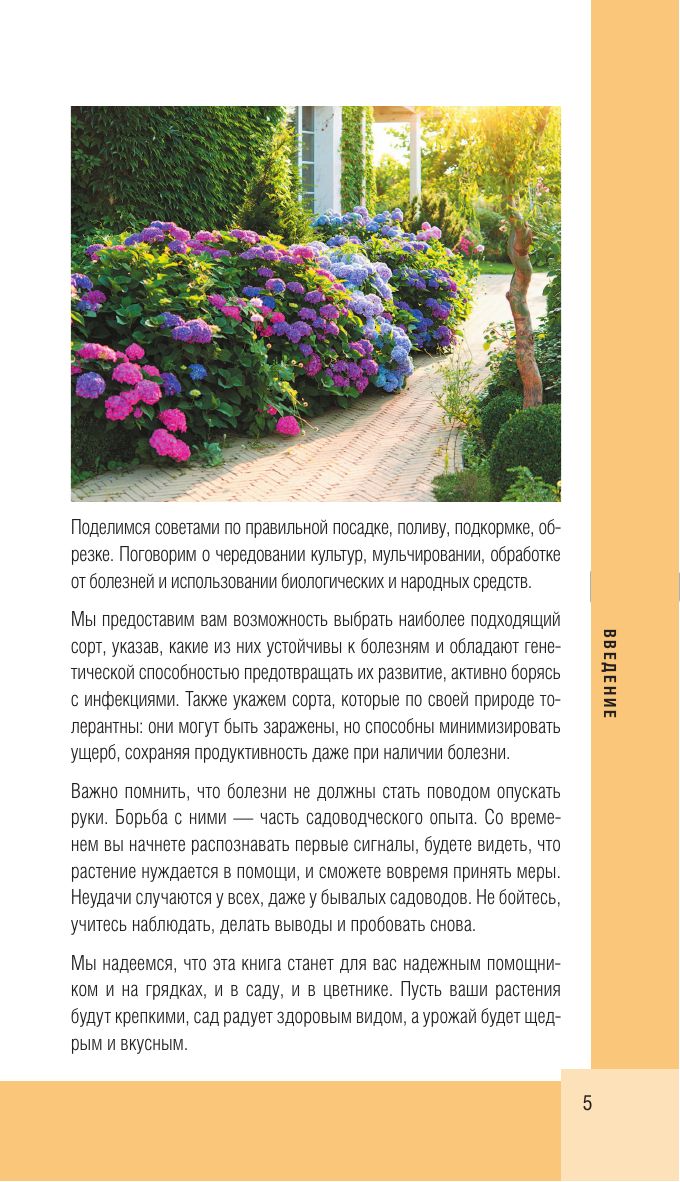Болезни сада и огорода. Карманный атлас-определитель | Garden and Vegetable Patch Diseases: Pocket Identification Atlas - Ozon image 6