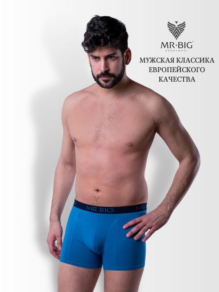 Трусы боксеры MR.BIG Underwear Подарок настоящему мужчине, 1 шт  #1