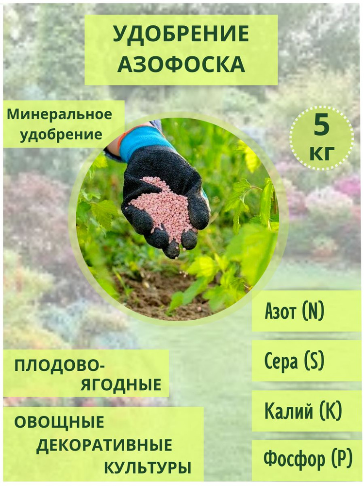 Удобрение Азофоска, 5 кг для кустарников, деревьев , цветочных культур  #1