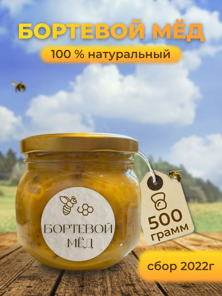 Мед дикий бортевой с пчелопродуктами с Башкортостана 500 грамм  #1