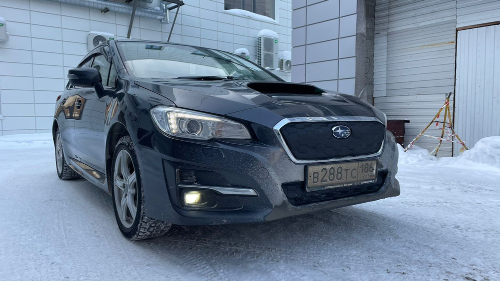 Утеплитель радиатора и бампера для Subaru Levorg (2017 -2020) I СУБАРУ ЛЕВОРГ  #1