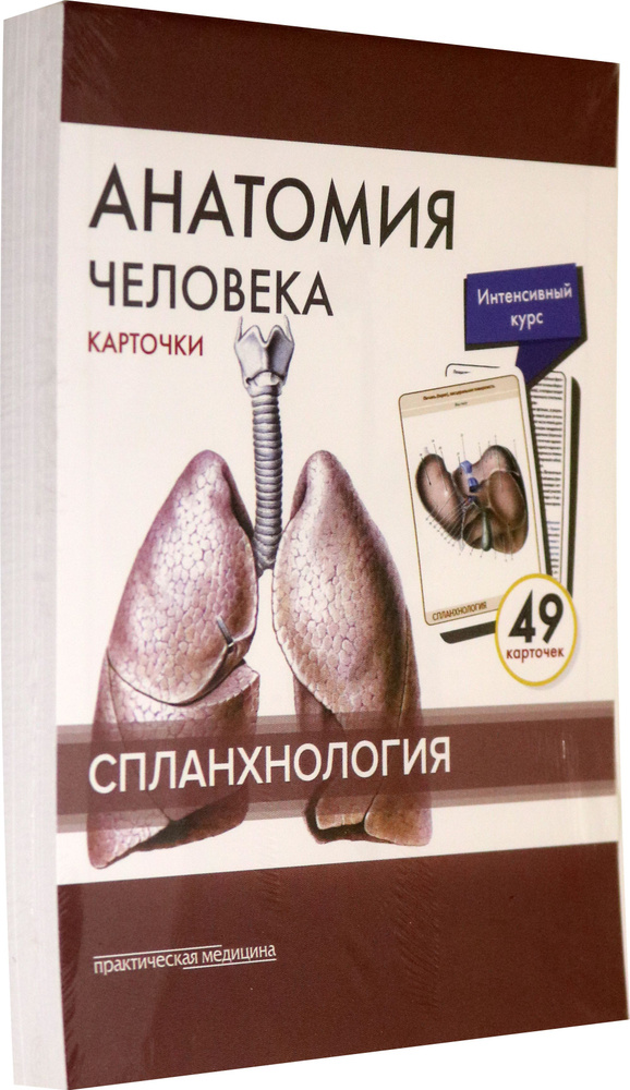 Анатомия человека. Спланхнология. Карточки (49 шт.) | Сапин Михаил Романович, Тимофеева М. О.  #1