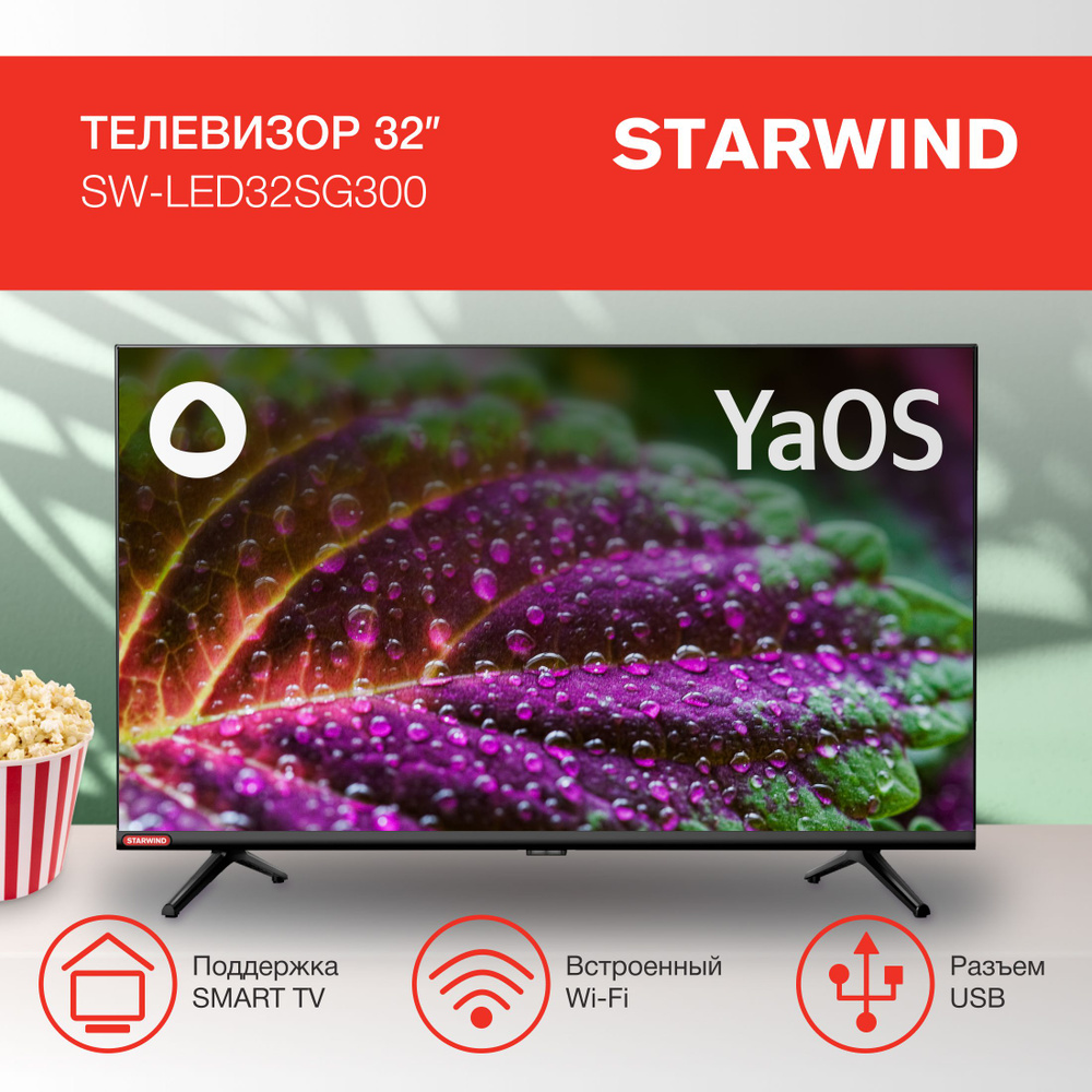 STARWIND Телевизор SW-LED32SG300  32" HD, черный #1