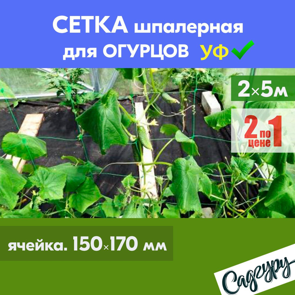 Сетка шпалерная для огурцов 15*17см 2шт - 2х5м ЗЕЛЕНАЯ подвязка для клематисов, гороха, вьющихся растений, #1