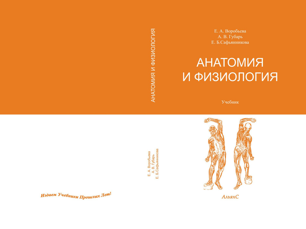 Анатомия и физиология / Е. А. Воробьева и др. / Учебник для медицинских ...