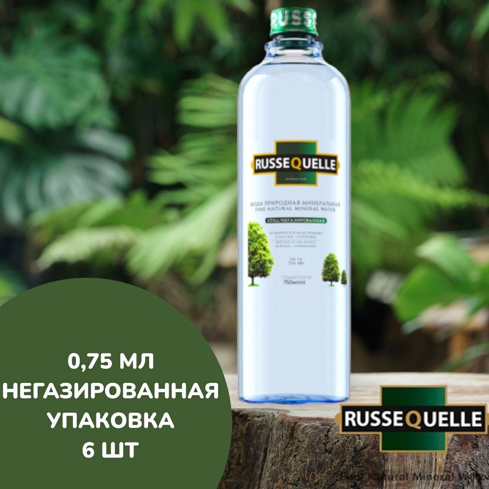 RusseQuelle Вода Минеральная Негазированная 750мл. 6шт #1