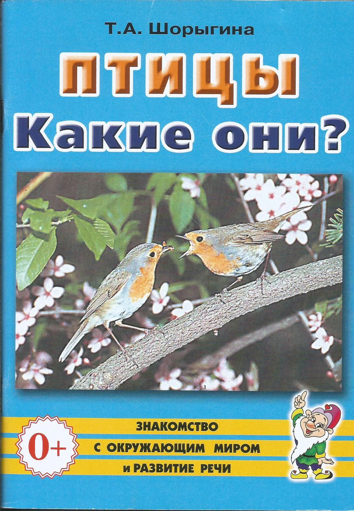 Птицы. Какие они? Знакомство с окружающим миром и развитие речи. Татьяна Шорыгина | Шорыгина Татьяна #1