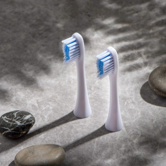 Luazon Home Насадка для электрической зубной щетки Luazon LP-005, белая, 2 штуки  #1