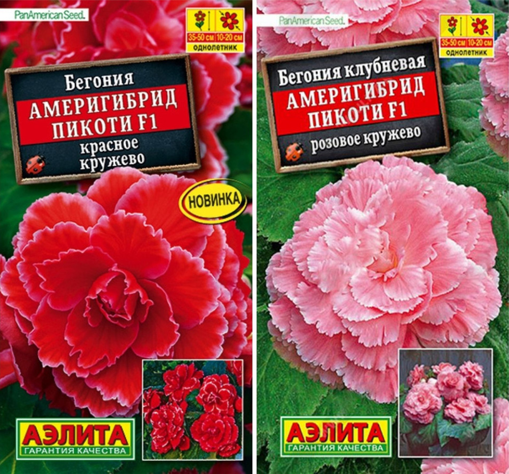 Набор семян Бегония Америгибрид Пикоти, Аэлита, 2 пачки #1