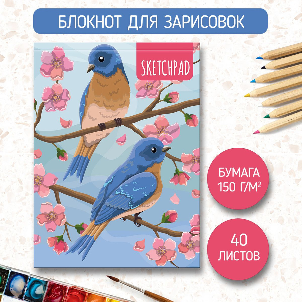 Скетчбук Sketchpad А5, листов: 40, шт #1