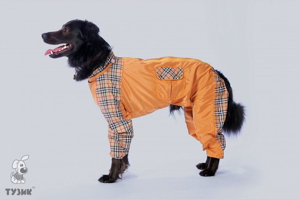 ТУЗИК комбинезон теплый для породы цвергшнауцер кобель - купить с ...