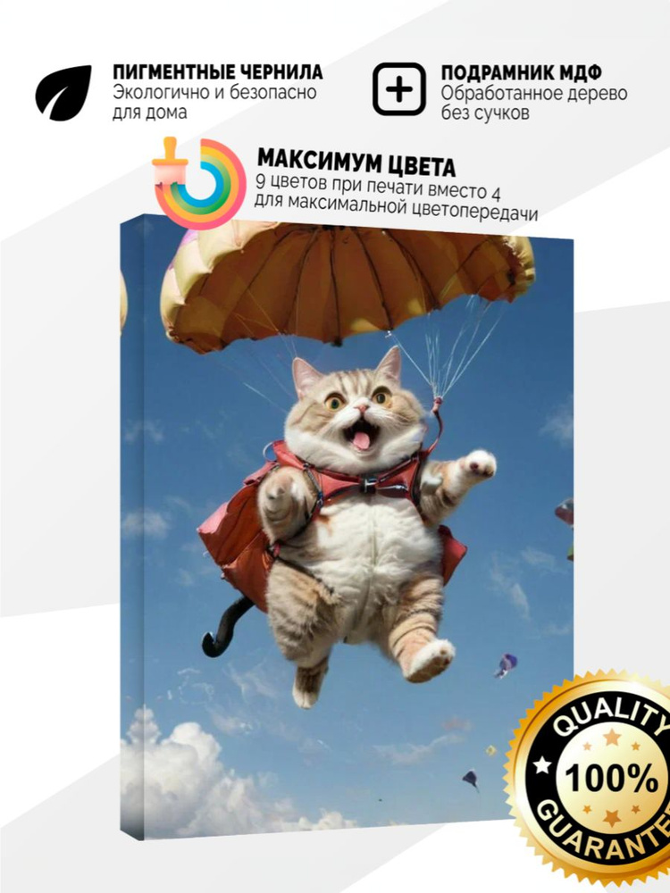 Картина на холсте 20x30 кот парашютист #1