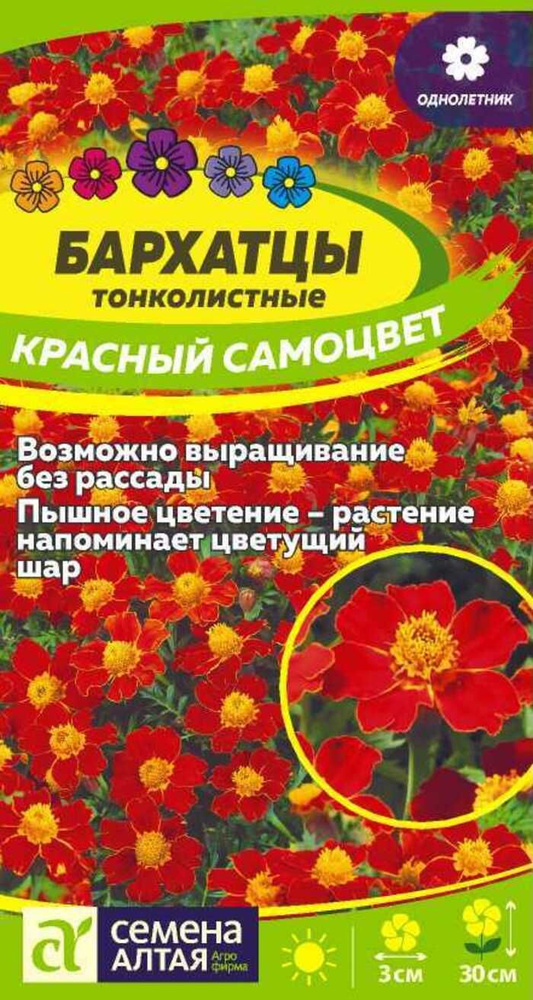 Семена Бархатцы Красный Самоцвет тонколистн. 0,1 гр. #1