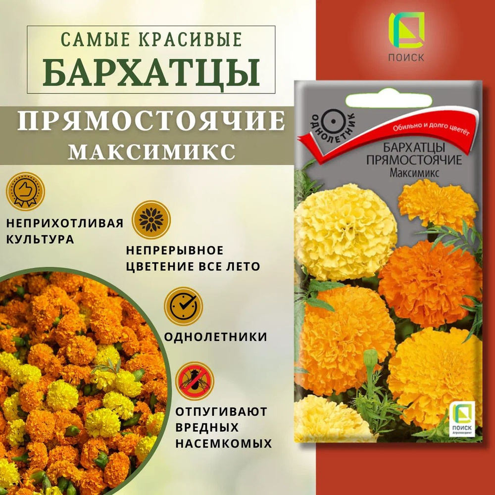 Бархатцы прямостоячие "МаксиМикс" семена для сада, на рассаду  #1