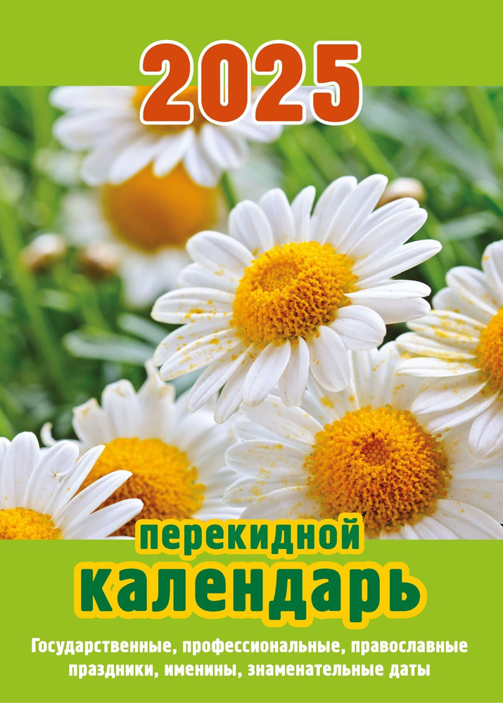 Календарь настольный перекидной "Ромашки" (газетная бумага, 1 краска) 100х140 на 2025 год  #1