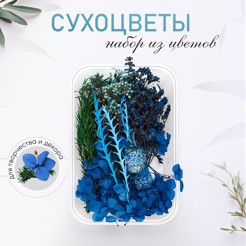 Сухоцветы, 40 гр #1