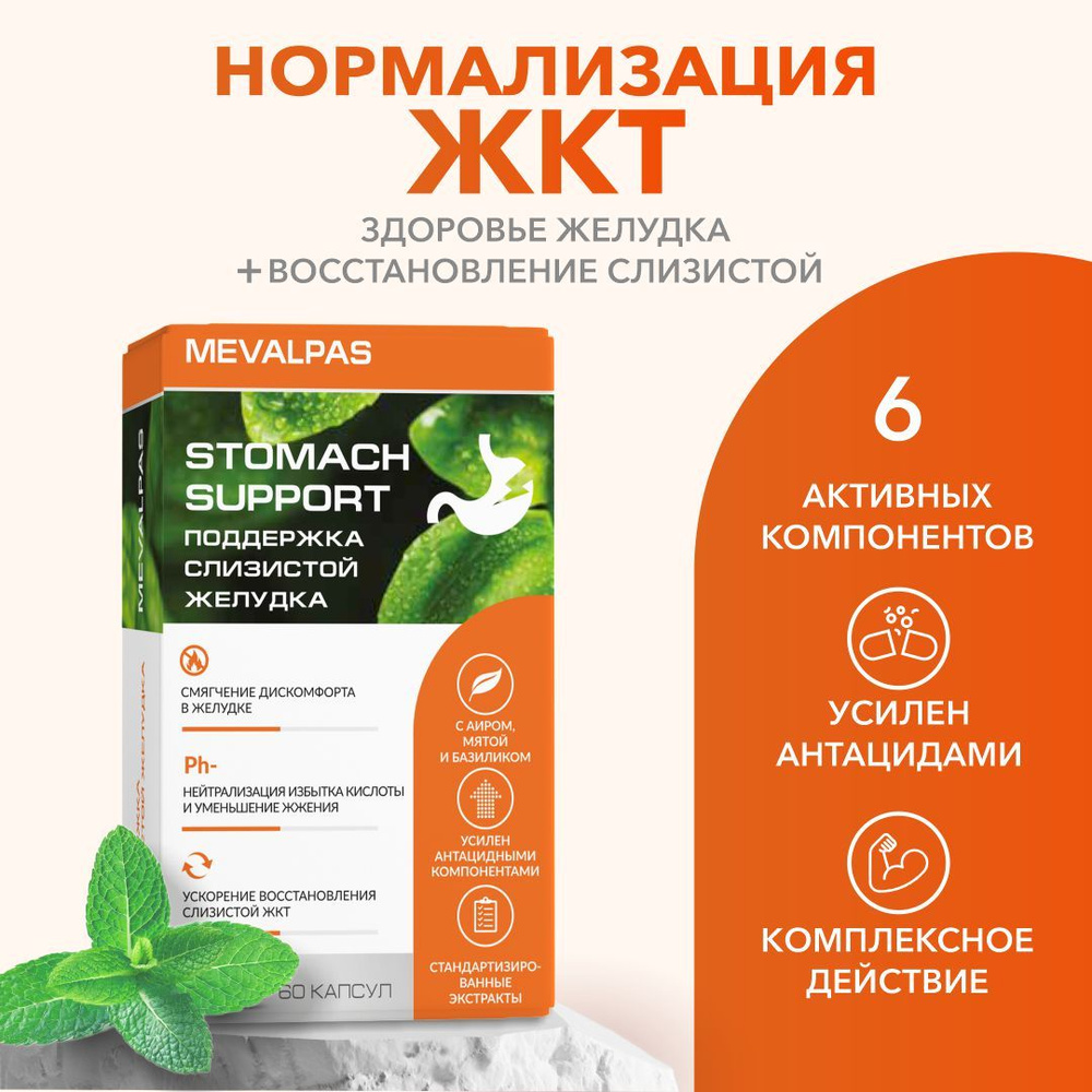 mevalpas stomach support/ мевалпас поддержка желудка капс. 545 мг. n60 втф  #1