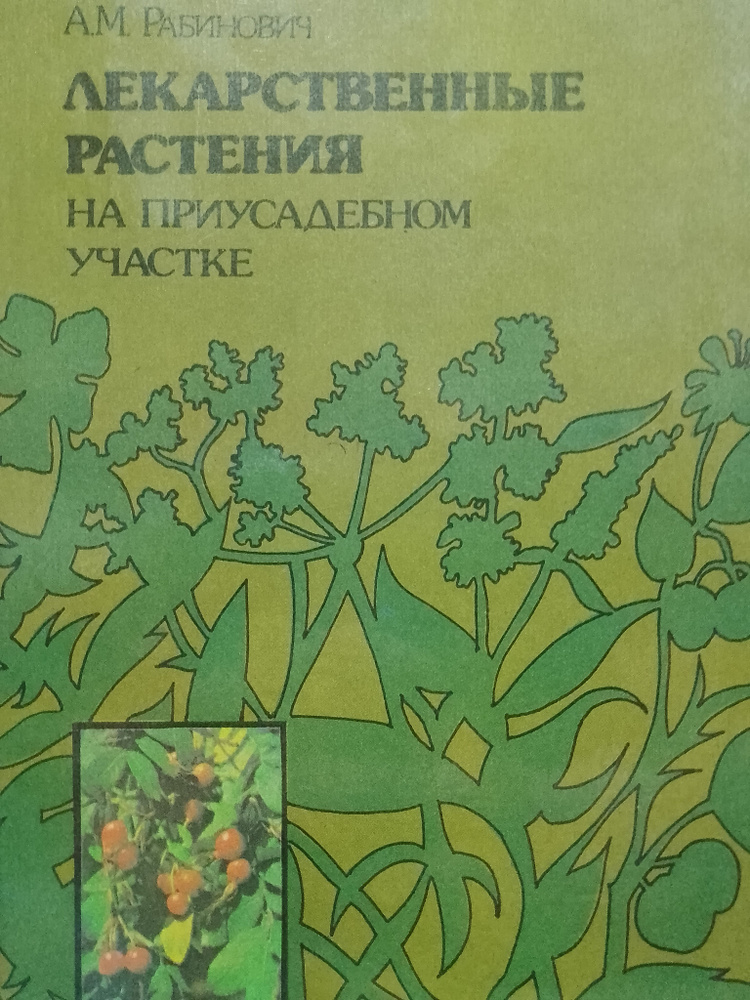 Лекарственные растения на приусадебном участке | Рабинович Александр Моисеевич  #1