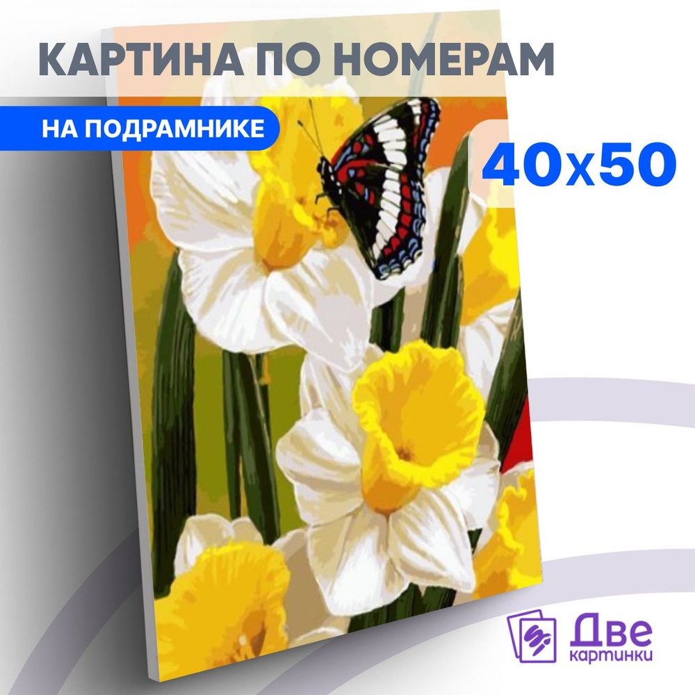 Картина по номерам 40х50 см на подрамнике "Бабочка на цветах нарциссов" DVEKARTINKI  #1