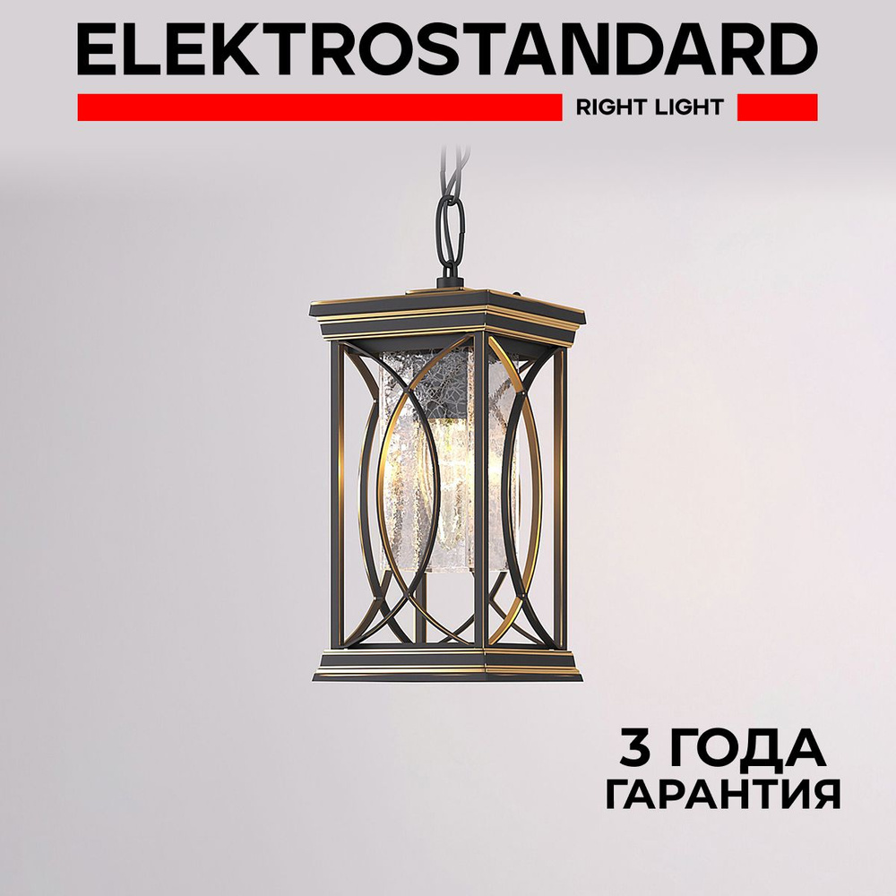 Уличный подвесной светильник Elektrostandard Spica H IP33 черное золото  #1