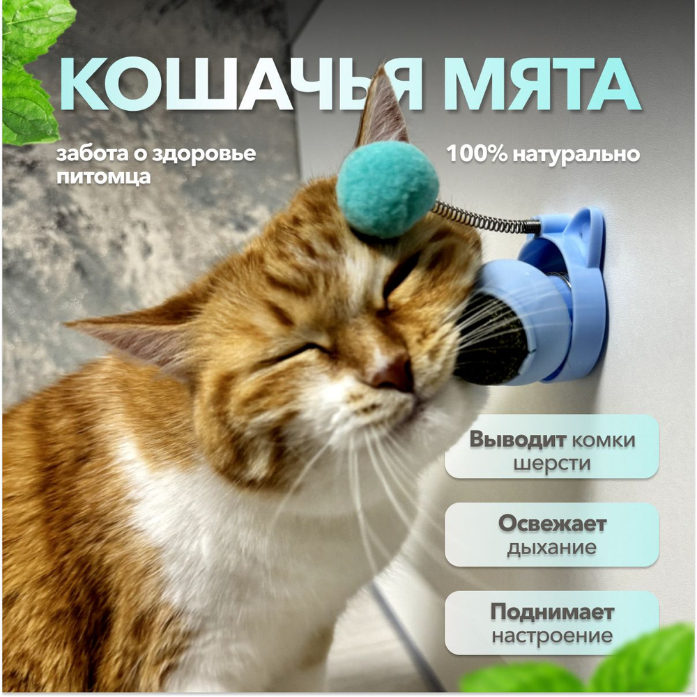 Игрушка для кошек - Шарик с кошачьей мятой для чистки зубов кошкам, на липучке для крепления на стену, #1