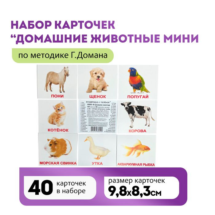 Комплект карточек Домашние животные (мини 8*10см) 40шт.по методике Г.Домана  #1