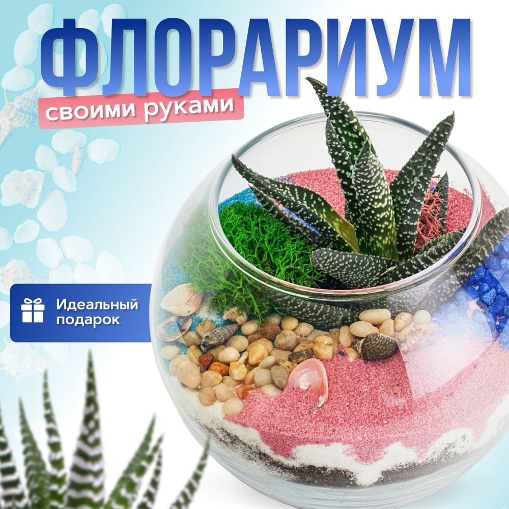 Флорариум своими руками (Шар 0,8л) #1