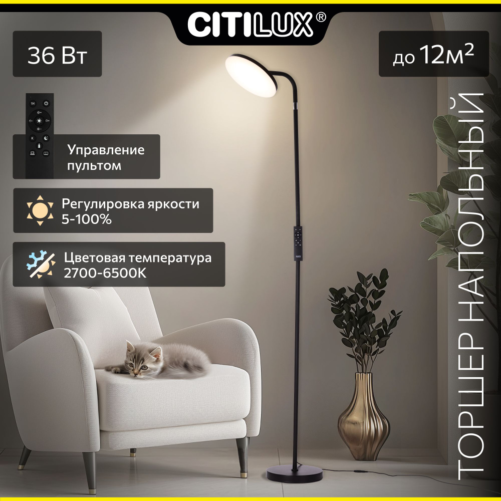 Торшер напольный Citilux SOLO CL804061 LED с пультом Чёрный #1