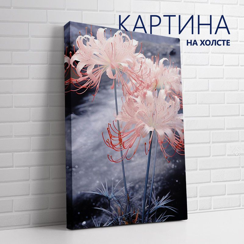 PRO Картины Картина "Паучья лилия (3)", 80  х 60 см #1