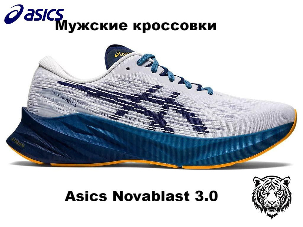 Кроссовки ASICS Novablast 3 #1