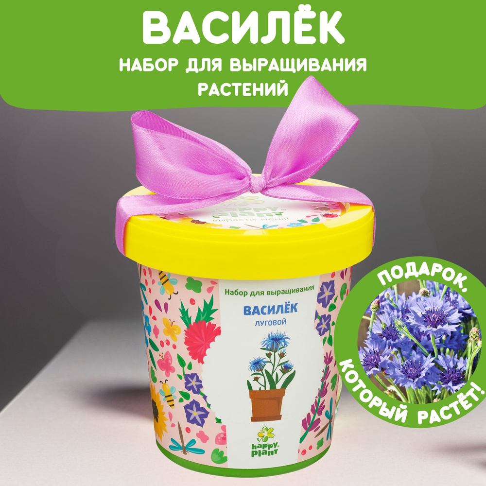 Набор для выращивания растений Happy Plant Василек луговой, семена комнатных цветов в подарочном горшке #1