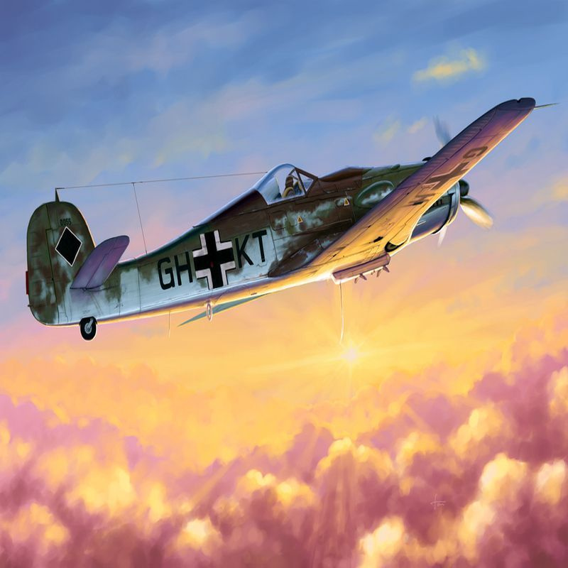 Сборная модель Focke-Wulf Fw 190D-10 #1