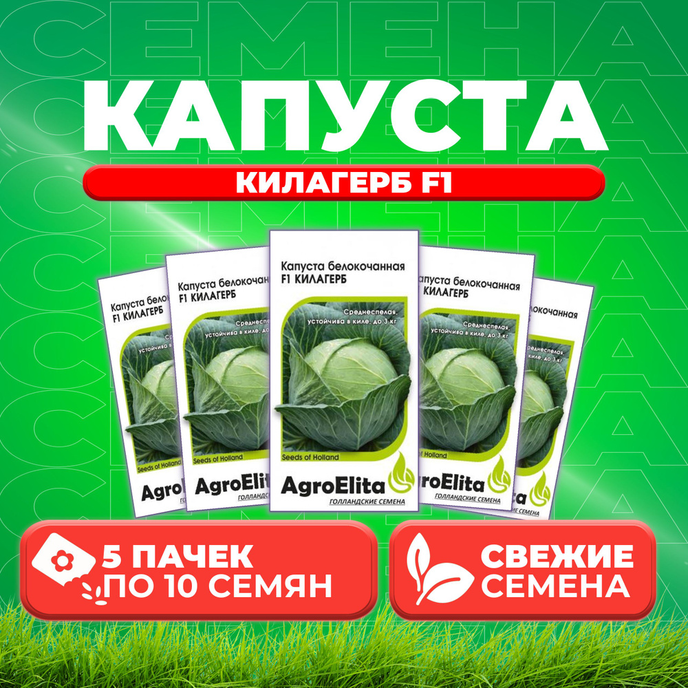 Капуста белокочанная Килагерб F1, 10шт, AgroElita (5 уп) #1