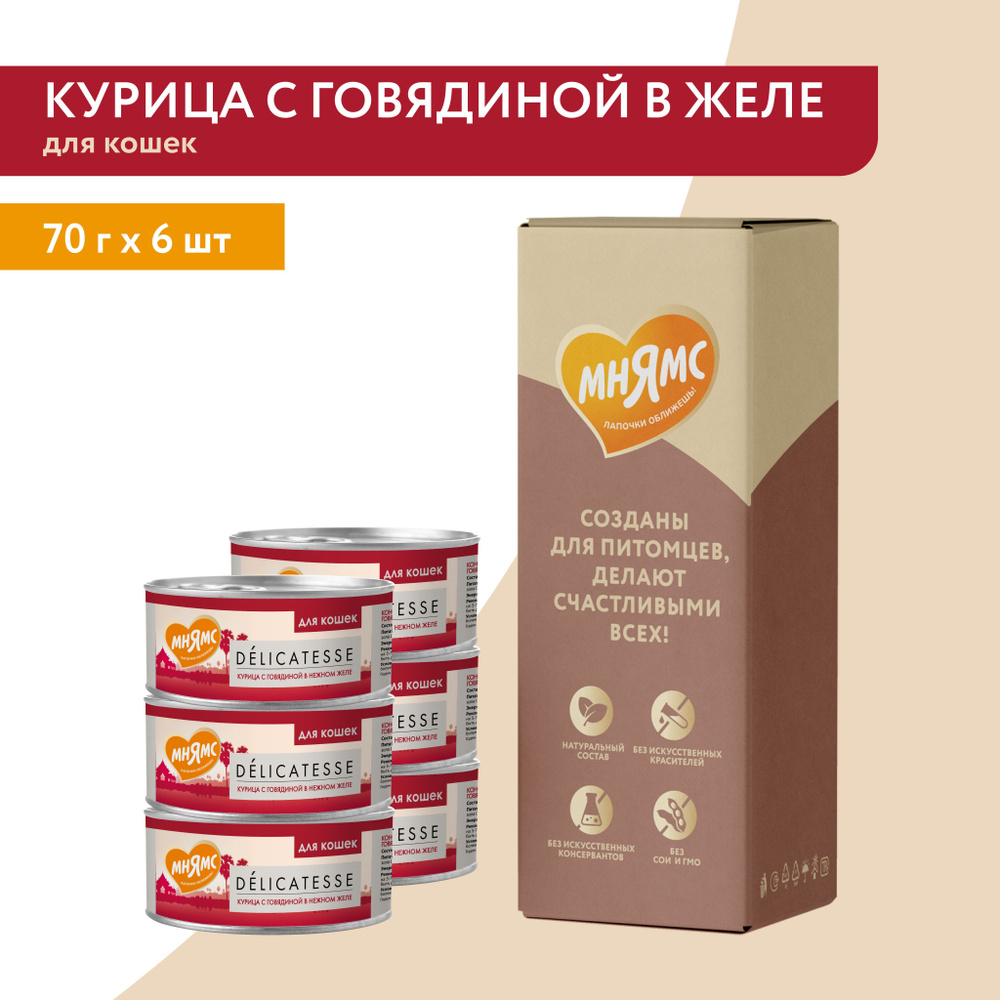 Влажный дополнительный корм Мнямс для кошек Курица с говядиной в нежном желе 70 г*6 шт  #1