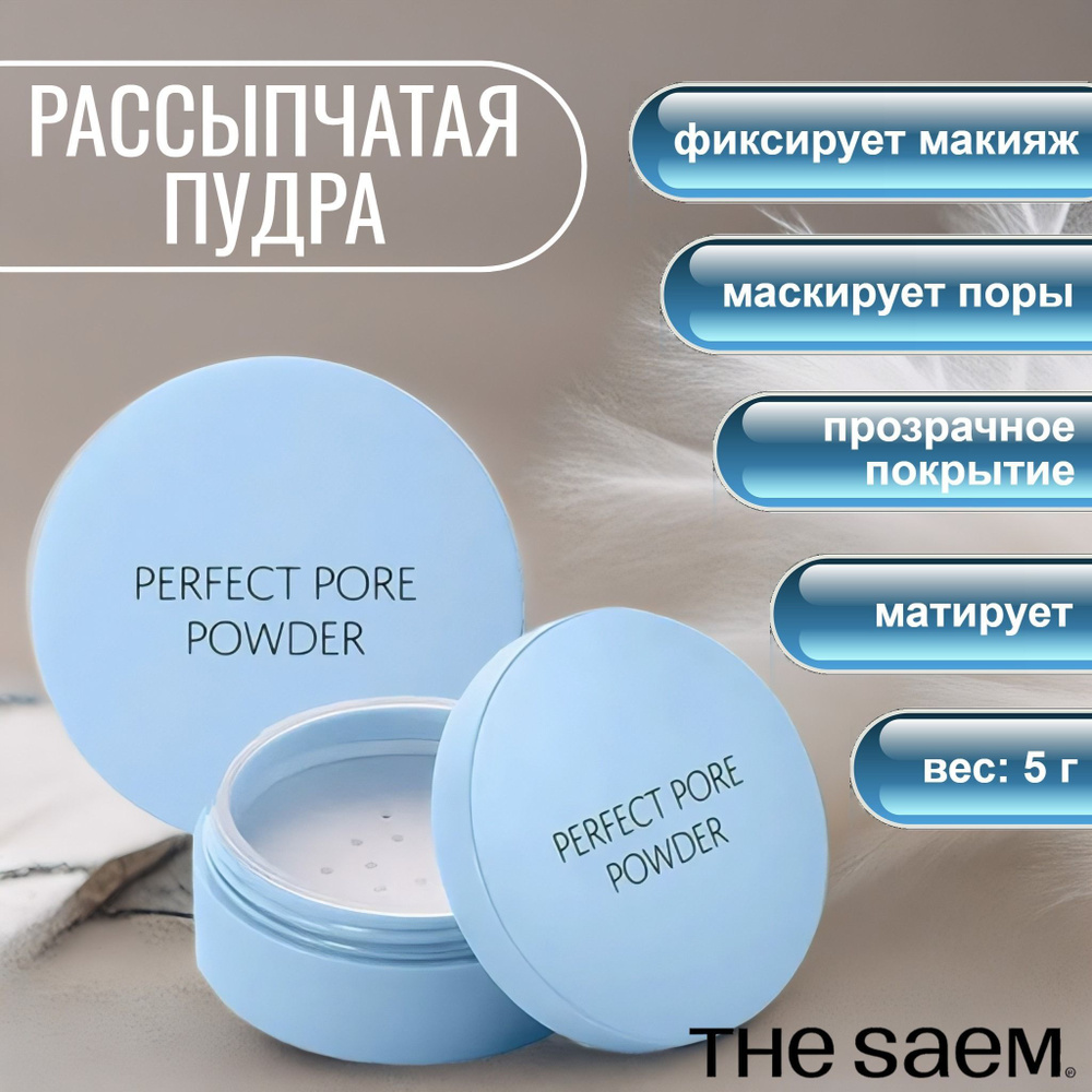 The Saem Матирующая пудра рассыпчатая для маскировки расширенных пор Saemmul Perfect Pore Powder 5 г #1