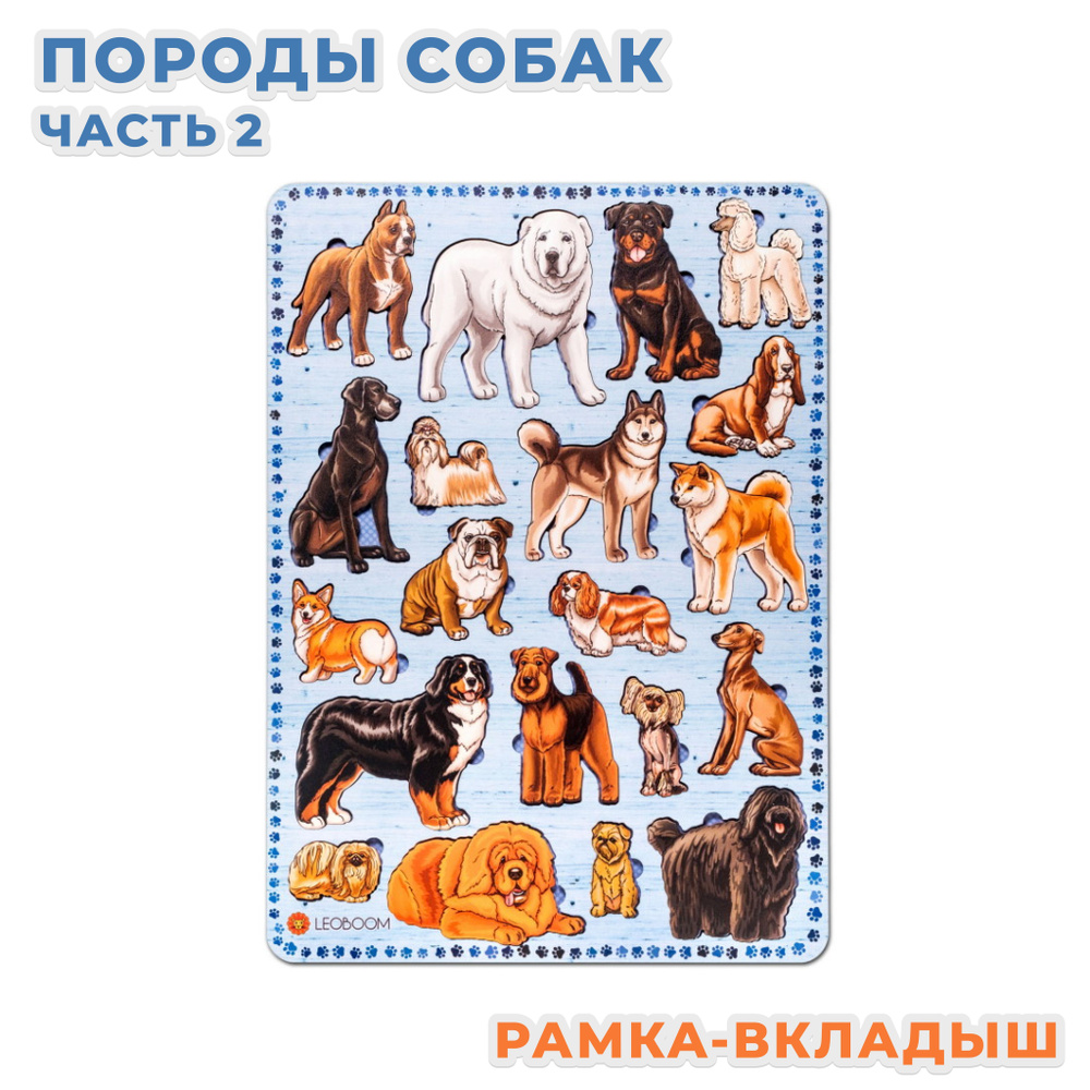 Деревянная рамка-вкладыш Smile Decor "Породы собак" Часть 2, 28,5 *39,5 см, 22 элемента, пазл для малышей #1