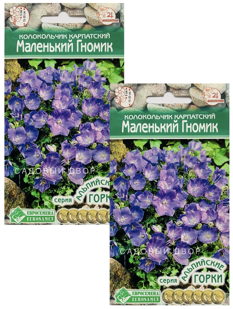 Колокольчик МАЛЕНЬКИЙ ГНОМИК карпатский, 2 пакета, семена 0,1 гр, Евросемена  #1