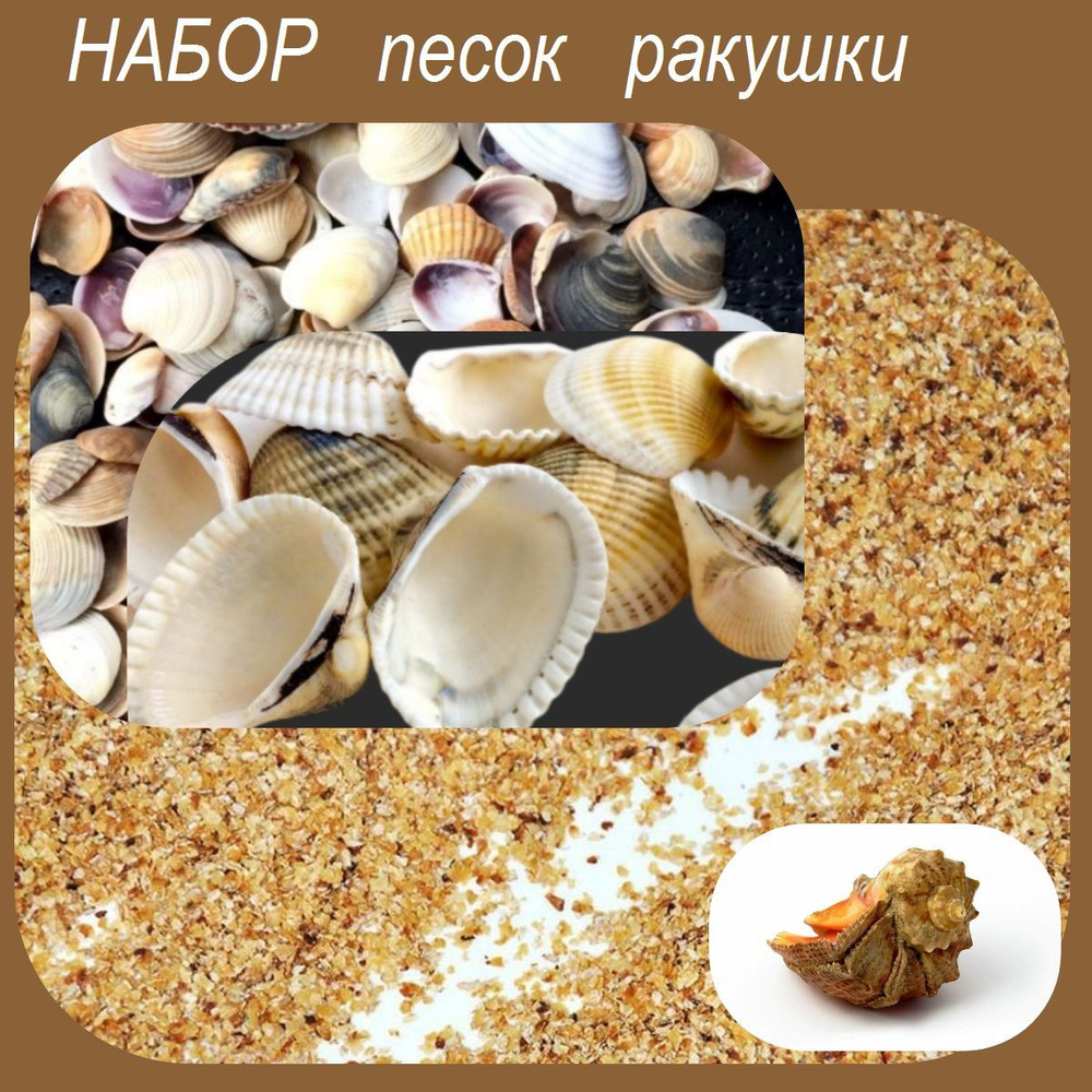 Ракушки морские микс 300 г и песок морской 1 кг , набор для аквариума  #1