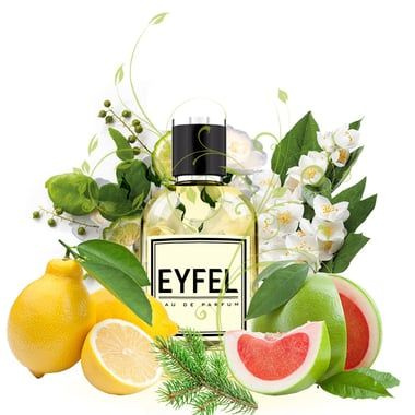 Духи Eyfel Цена