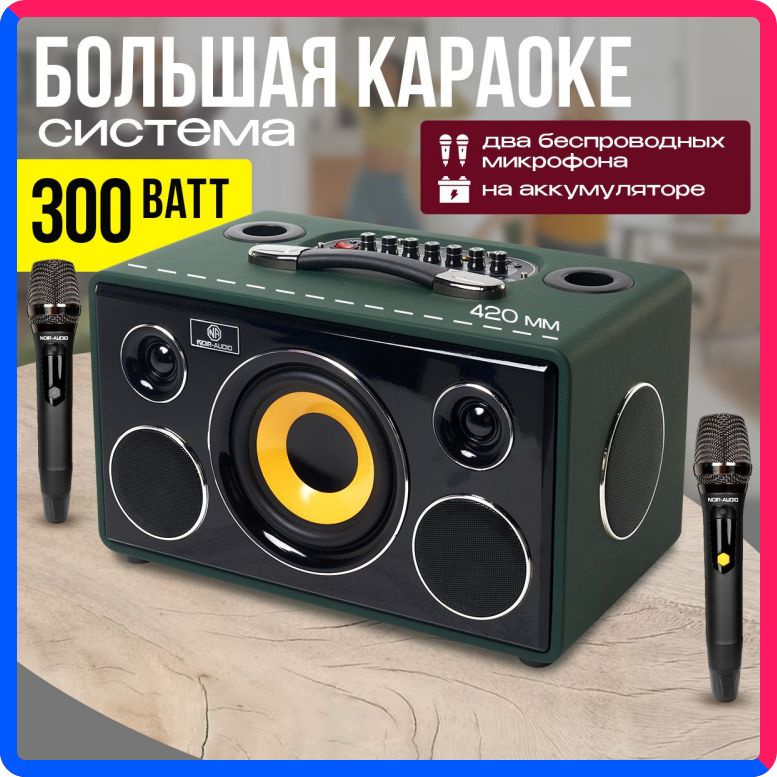 Купить по выгодной цене Караоке система NOIR-audio MAX-300 с двумя беспроводными микрофонами, с функцией Bluetooth и USB разъемом с доставкой