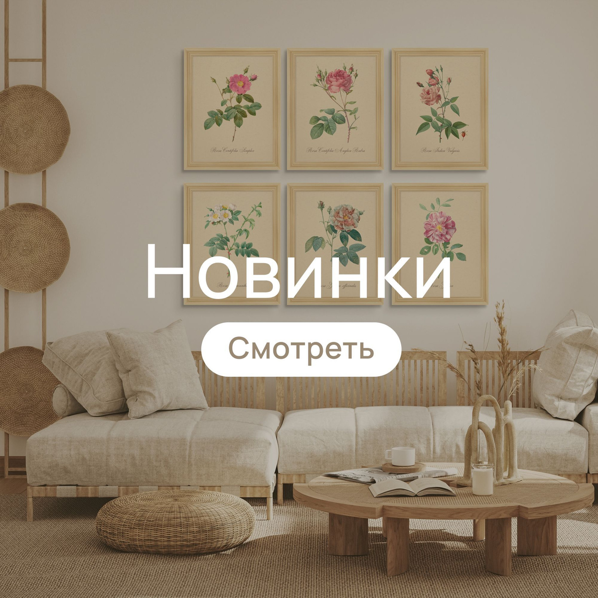 Новинки