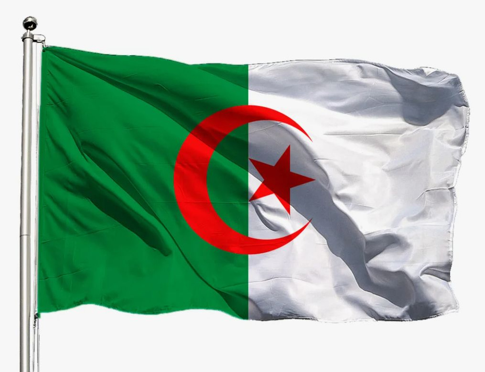 Флаг Алжира 80х120 см с люверсами #1