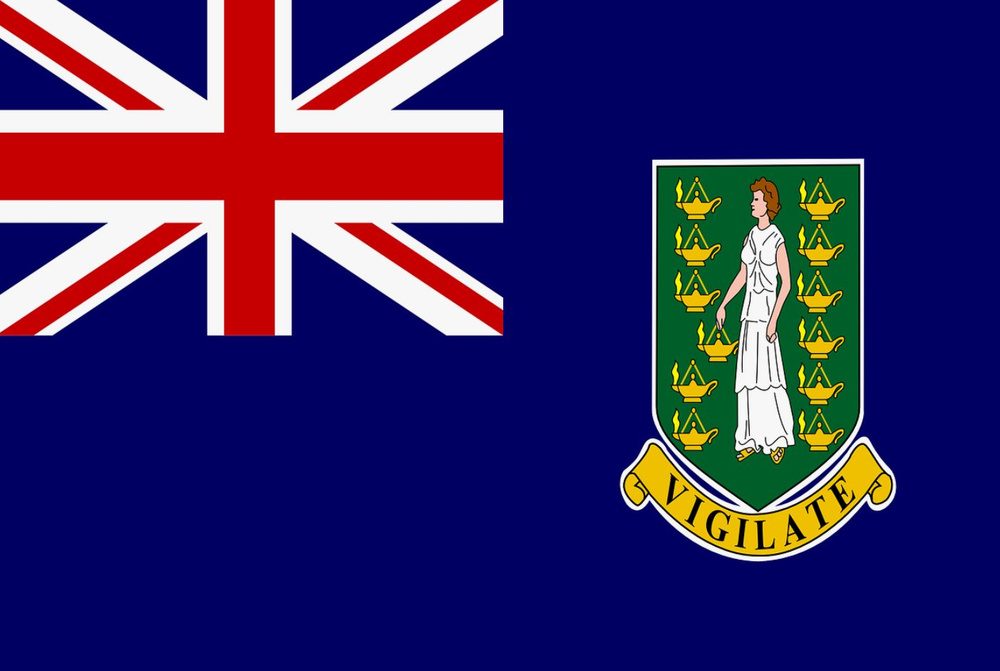 Флаг Британских Виргинских островов 40х60 см с люверсами  #1