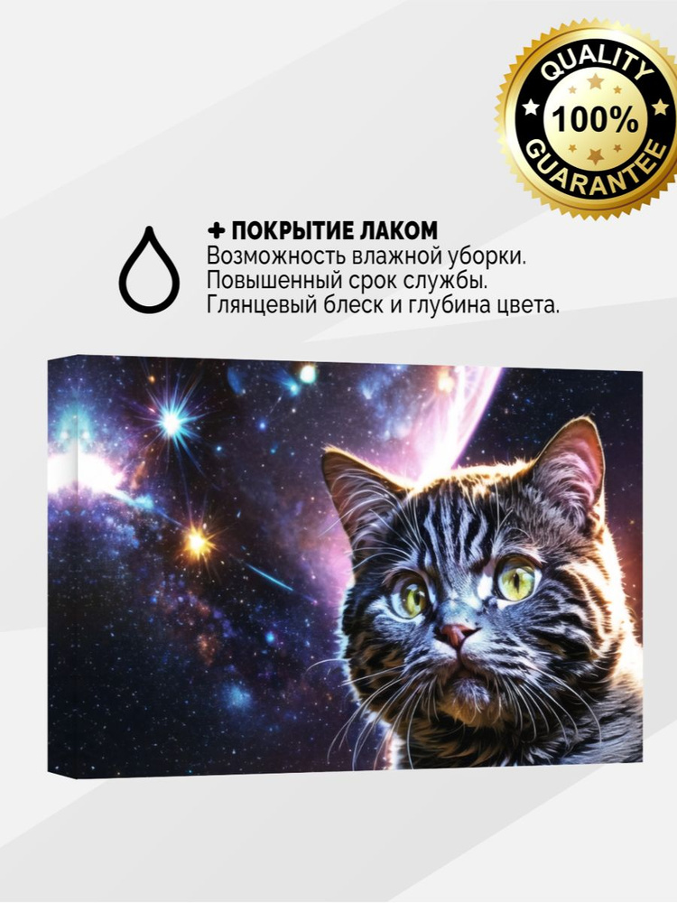 Картина на холсте 80x120 Космический кот с покрытием лаком  #1