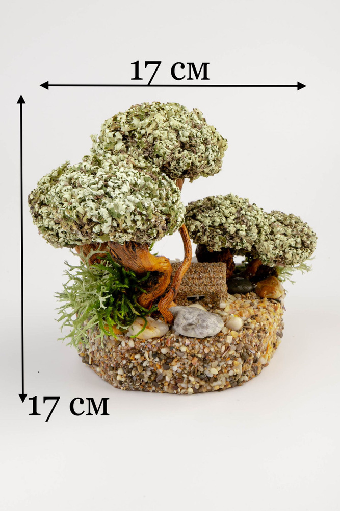 Живое дерево из исландского мха цетрария "Семья" №3 #1