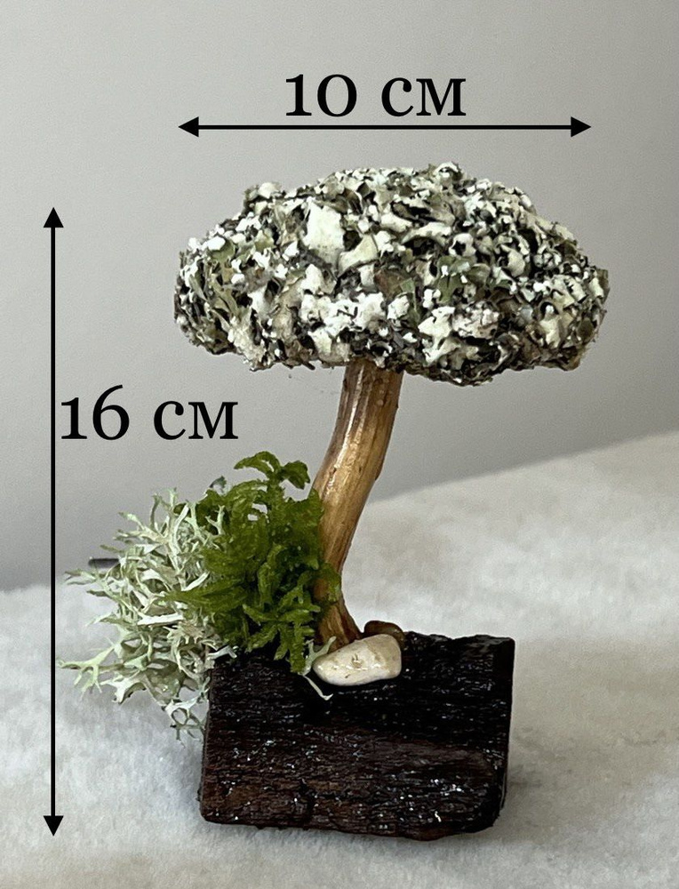 Живое дерево из исландского мха цетрария "Княгиня" №3 #1