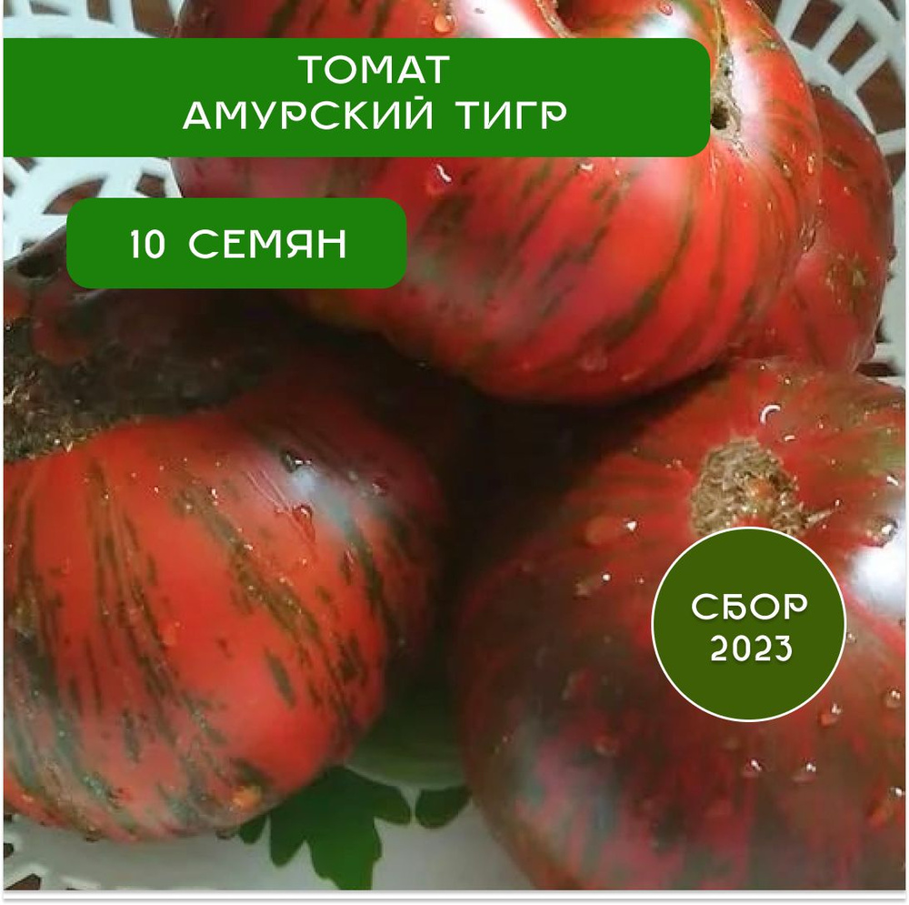 Томат Амурский Тигр, семена 10 шт #1